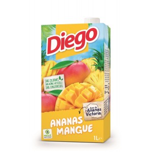 Pack Diego Mangue Ananas (6*1L)